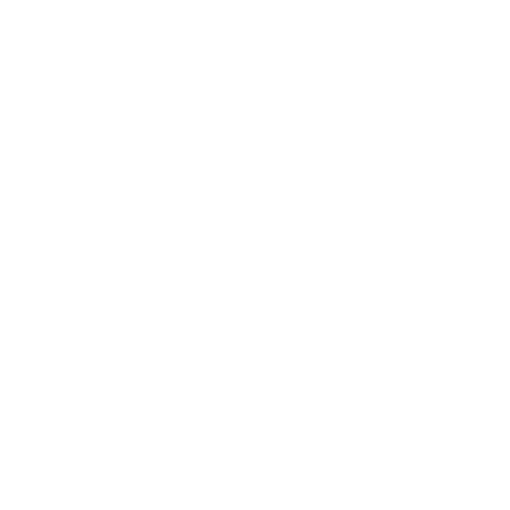 Logo 80 anni faggin